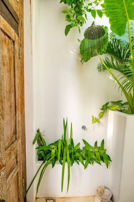 Nest Uluwatu - Eco Boutique Villa المظهر الخارجي الصورة