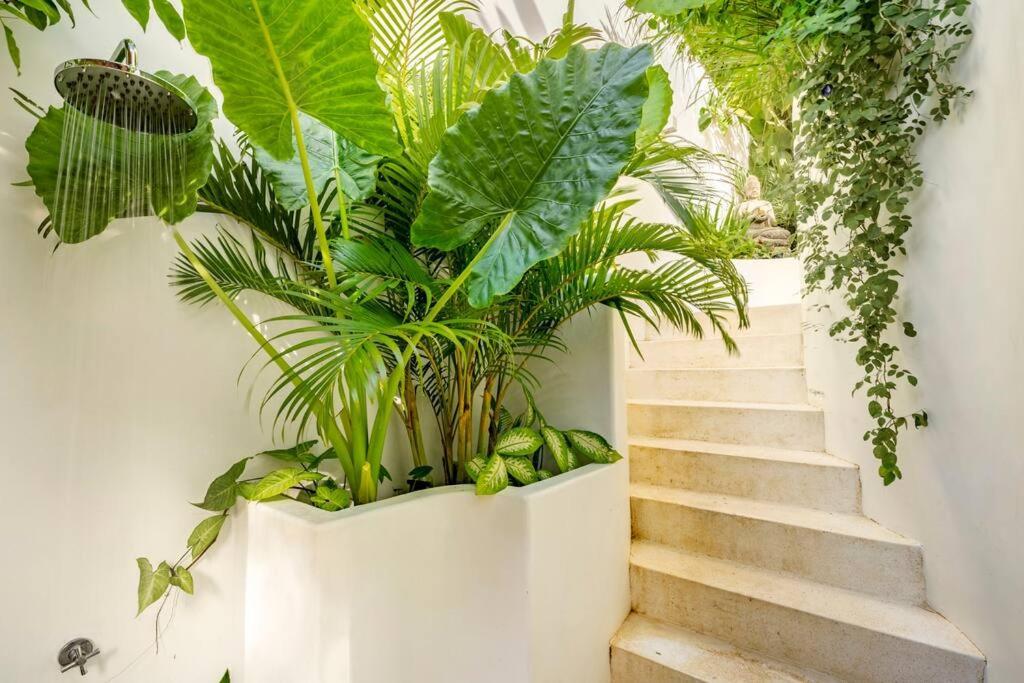 Nest Uluwatu - Eco Boutique Villa المظهر الخارجي الصورة